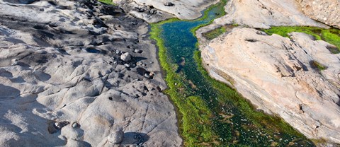 Framed Point Lobos State Reserve, Carmel, Monterey County, California Print