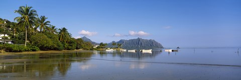 Framed Palm trees at a coast, Kaneohe Bay, Oahu, Hawaii, USA Print