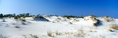 Framed Sand dunes in a desert, St. George Island State Park, Florida Panhandle, Florida, USA Print