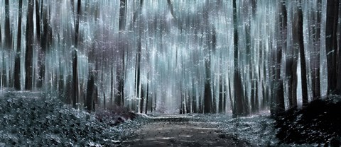 Framed Enchanted forest (black and white) Print