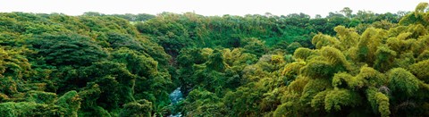 Framed Countryside, Mauritius Island, Mauritius Print