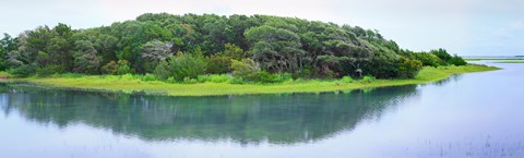 Framed Trees at Rachel Carson Coastal Nature Preserve, Beaufort, North Carolina, USA Print