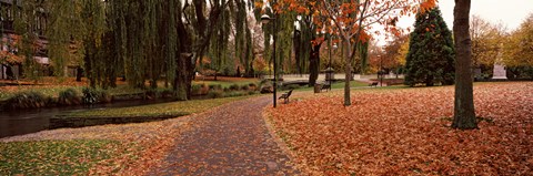 Framed Park at banks of the Avon River, Christchurch, South Island, New Zealand Print