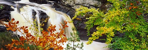 Framed Rogie Falls, Black Water, Garve, Ross-Shire, Scotland Print