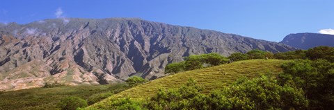 Framed Trees on a hill near Haleakala Crater, Maui, Hawaii, USA Print