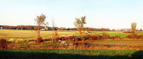 Framed Amish farmer plowing a field, USA Print