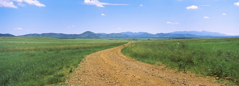 Framed Dirt road passing through a landscape, San Rafael Valley, Arizona Print