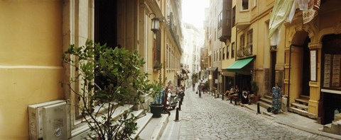 Framed Cobblestone street in Istanbul, Turkey Print