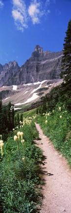 Framed Hiking trail at US Glacier National Park, Montana, USA Print