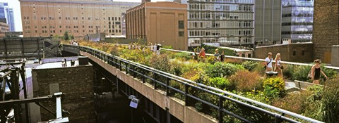 Framed Tourists in an elevated park, High Line, Manhattan, New York City, New York State, USA Print