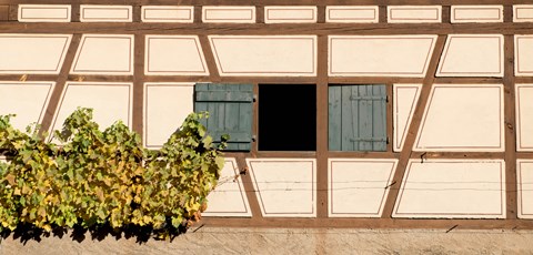 Framed Detail of half timber house and grape vines, Strumpfelbach, Baden-Wurttemberg, Germany Print