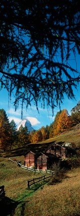 Framed Huts with the Mt Matterhorn in background in autumn morning light, Valais Canton, Switzerland Print