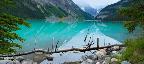 Framed Reflections in Lake Louise, Banff National Park, Alberta, Canada Print