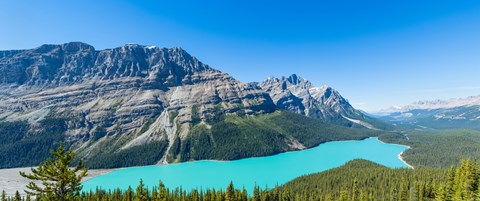 Framed Peyto Lake at Banff National Park, Alberta, Canada Print