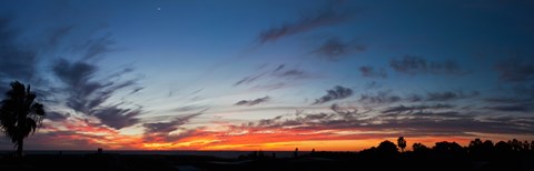 Framed Silhouette of trees at sunset, Todos Santos, Baja California, Mexico Print