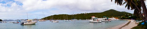 Framed Boats at harbor, Cruz Bay, St. John, US Virgin Islands Print