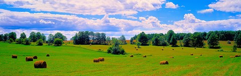 Framed Hay bales in a landscape, Michigan, USA Print