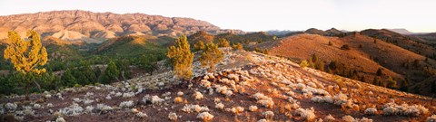 Framed Arkaba Station at sunset, Flinders Ranges, South Australia, Australia Print