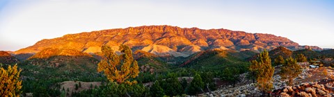 Framed Trees on a hill, Flinders Ranges, Hawker, South Australia, Australia Print