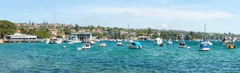 Framed Boats docked at Watsons Bay, Sydney, New South Wales, Australia Print