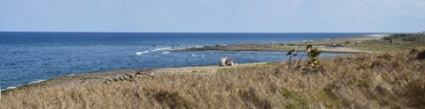 Framed Grass on the beach, Havana, Cuba Print