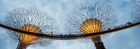 Framed Elevated walkway among Supertrees, Gardens by the Bay, Singapore Print