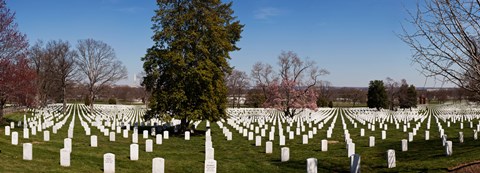 Framed Headstones in a cemetery, Arlington National Cemetery, Arlington, Virginia, USA Print