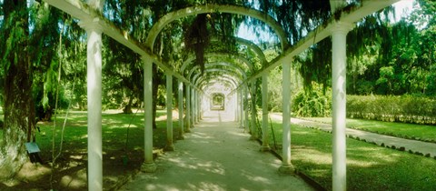 Framed Pathway in a botanical garden, Jardim Botanico, Zona Sul, Rio de Janeiro, Brazil Print