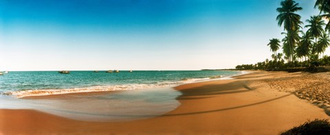 Framed Palm trees on the beach, Morro De Sao Paulo, Tinhare, Cairu, Bahia, Brazil Print