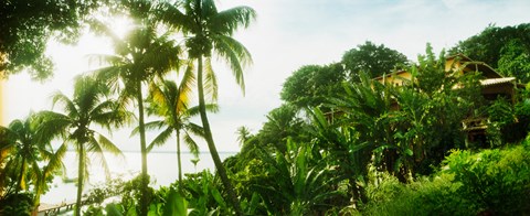 Framed Palm trees covering a small bungalow in Morro De Sao Paulo, Tinhare, Cairu, Bahia, Brazil Print