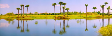 Framed Reflection of trees on water, Lake Worth, Palm Beach County, Florida, USA Print