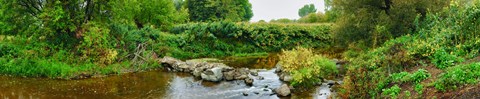 Framed River flowing through a forest, Acadia River, Quebec, Canada Print