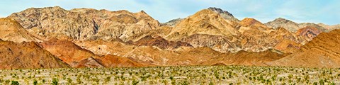 Framed Bushes in a desert with mountain range in the background, Death Valley, Death Valley National Park, California Print