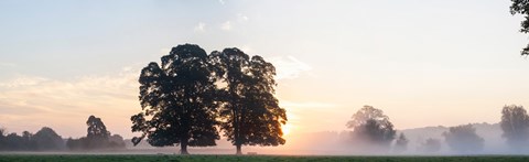 Framed Trees at sunrise, USK Valley, South Wales, Wales Print