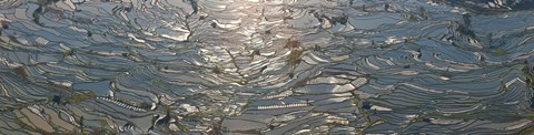 Framed High angle view of water filled rice paddy, Yuanyang County, Honghe Prefecture, Yunnan Province, China Print
