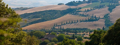 Framed High angle view of winding road in valley, Tuscany, Italy Print