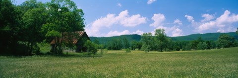 Framed Barn in a field, Cades Cove, Great Smoky Mountains National Park, Tennessee, USA Print