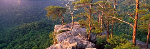 Framed Trees on a mountain, Buzzards' Roost Fall Creek Falls State Park, Pikeville, Bledsoe County, Tennessee, USA Print