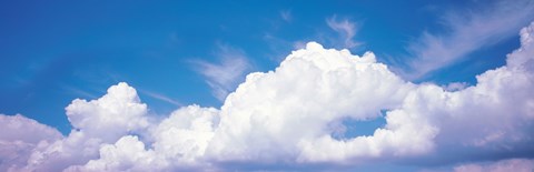 Framed Rudesheim Germany Print