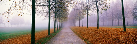 Framed Autumn in Schleissheim Bavaria Germany Print