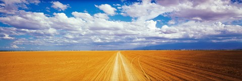 Framed Dirt road Amboseli Kenya Print