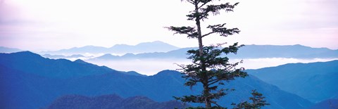 Framed Mountain range, Norikura Gifu Japan Print