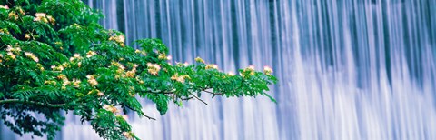 Framed Kamo River Kyoto Japan Print