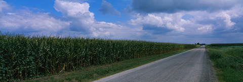 Framed Road along corn fields, Christian County, Illinois, USA Print