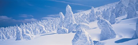 Framed Zao Yamagata Japan Print