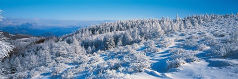 Framed Winter in Utsukushigahara Nagano Japan Print