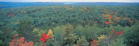 Framed Ontario Canada Print