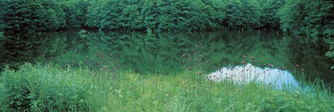 Framed Fukushima Japan Print