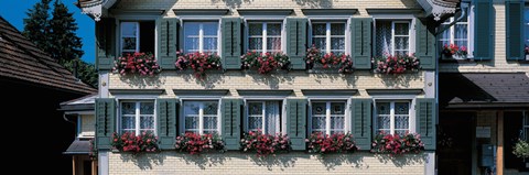 Framed Windows with Flower Boxes, Appenzell Switzerland Print