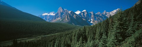 Framed Forest with Mountains in the Background, Banff National Park Canada Print